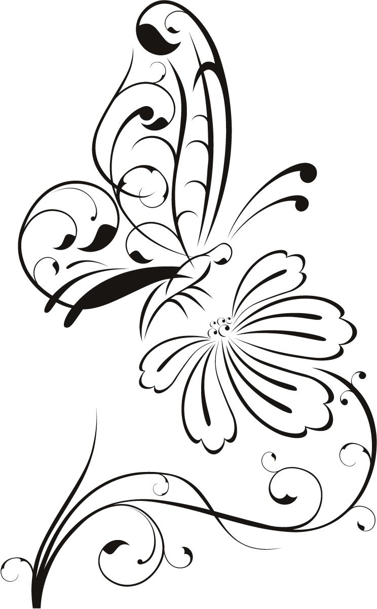 Butterfly flower outline.
