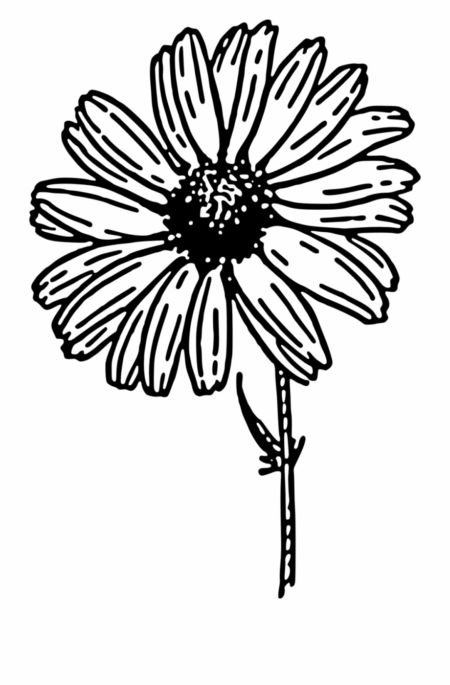 outline flower clipart daisy clip onlinelabels library