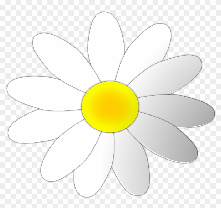 Daisy flower outline.