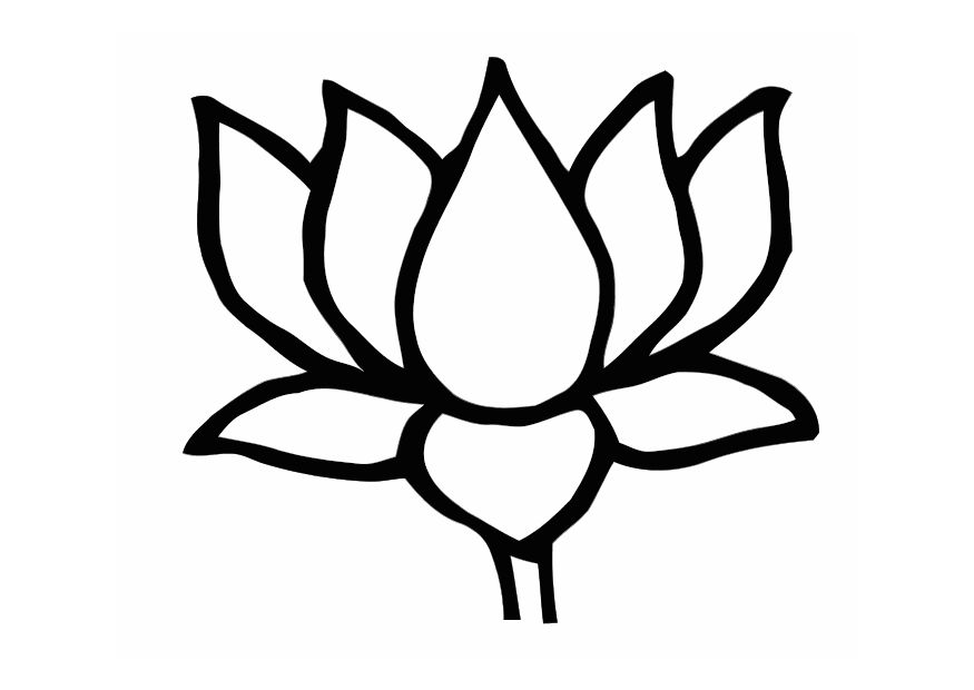 Free lotus flower.