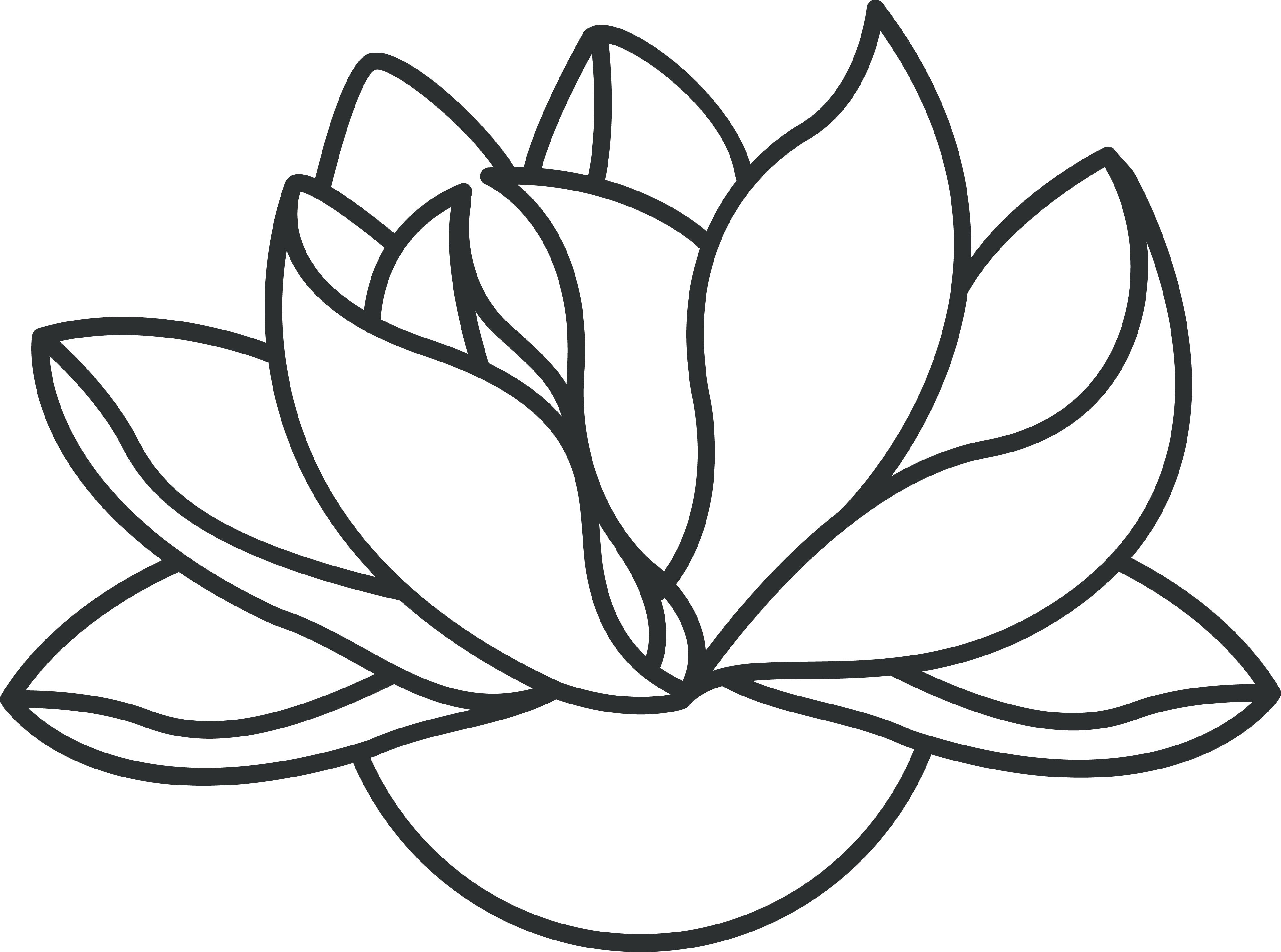 Flower outline clipart lotus pictures on Cliparts Pub 2020! 🔝