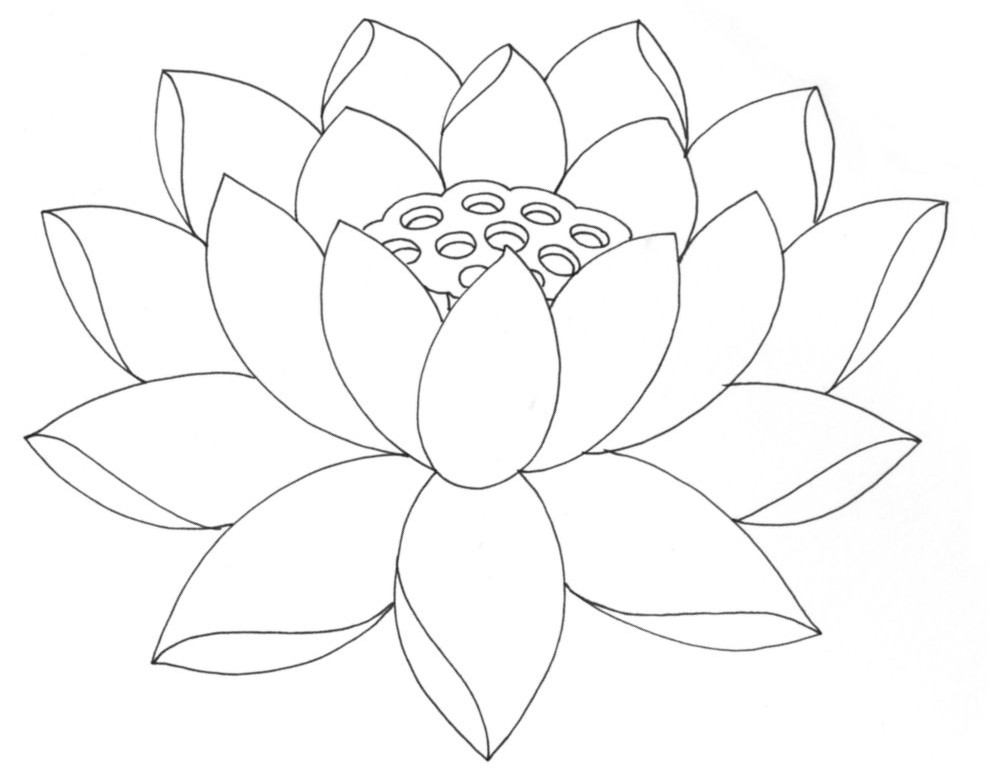 Free Lotus Flower Outline, Download Free Clip Art, Free Clip