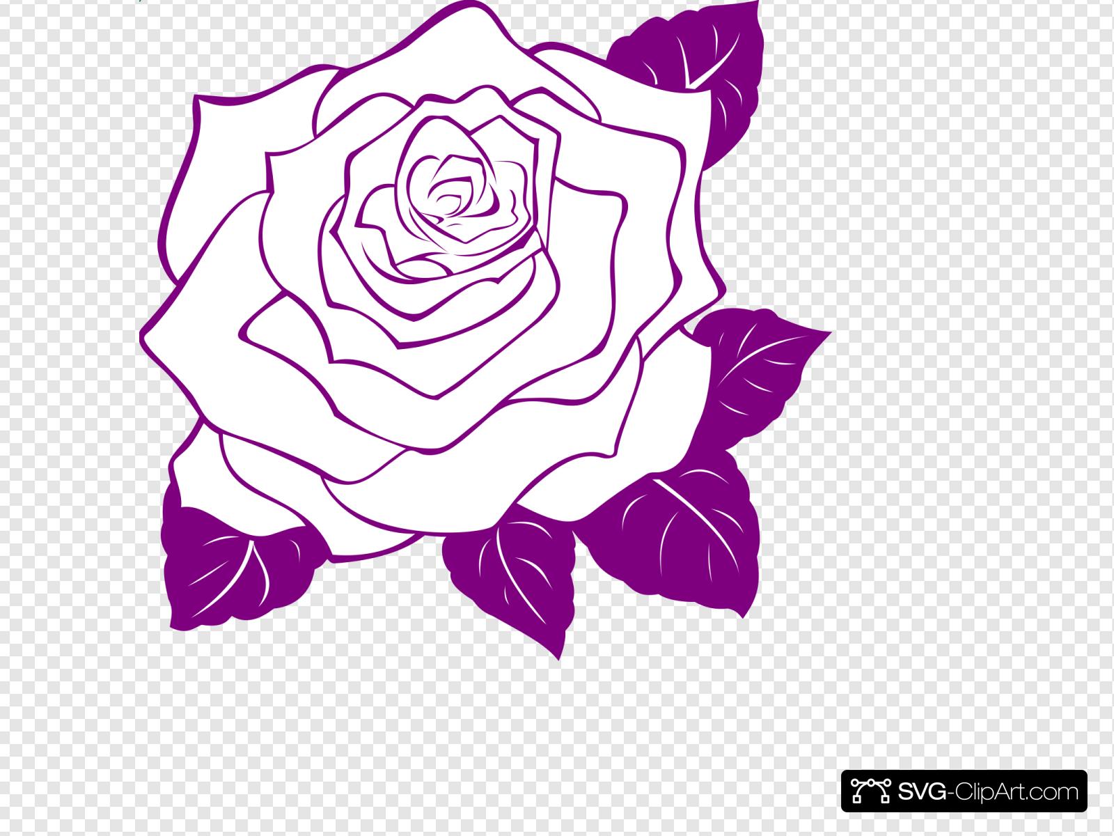 White Rose With Purple Outline Clip art, Icon and SVG