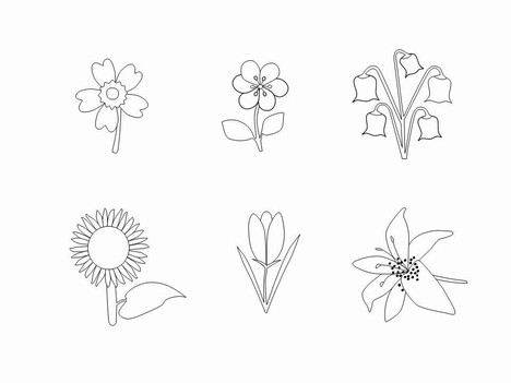 flower outline clipart template