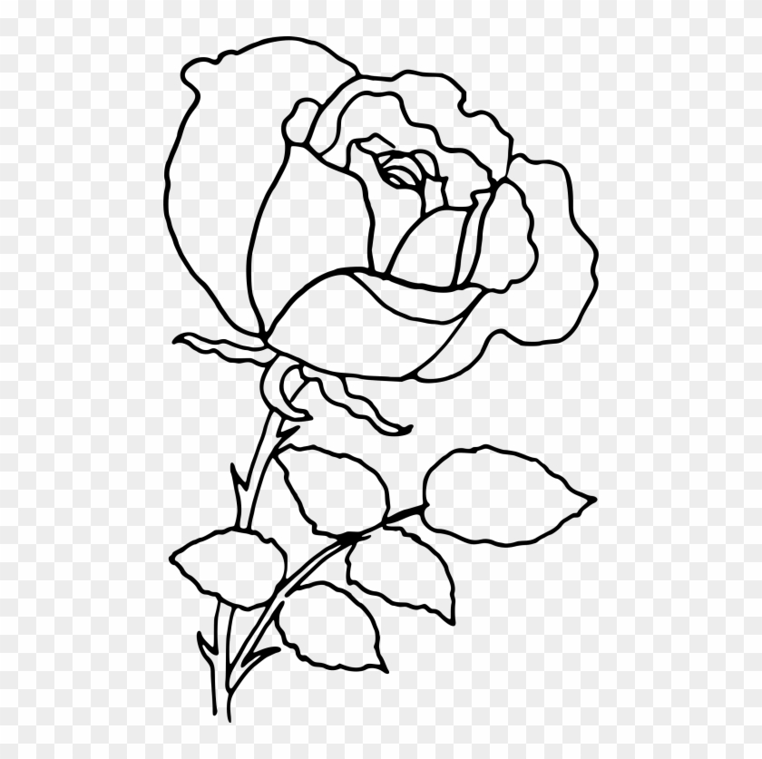 Download Png Rose Outline S Clipart Png Photo