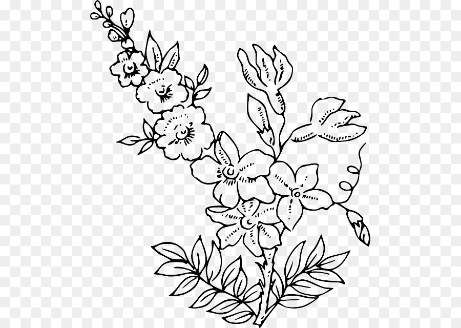 Flower Outline Clipart Transparent and other clipart images on Cliparts