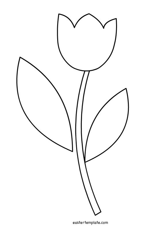 Tulip leaf outline.
