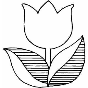 Coloring Book Flowers Outline