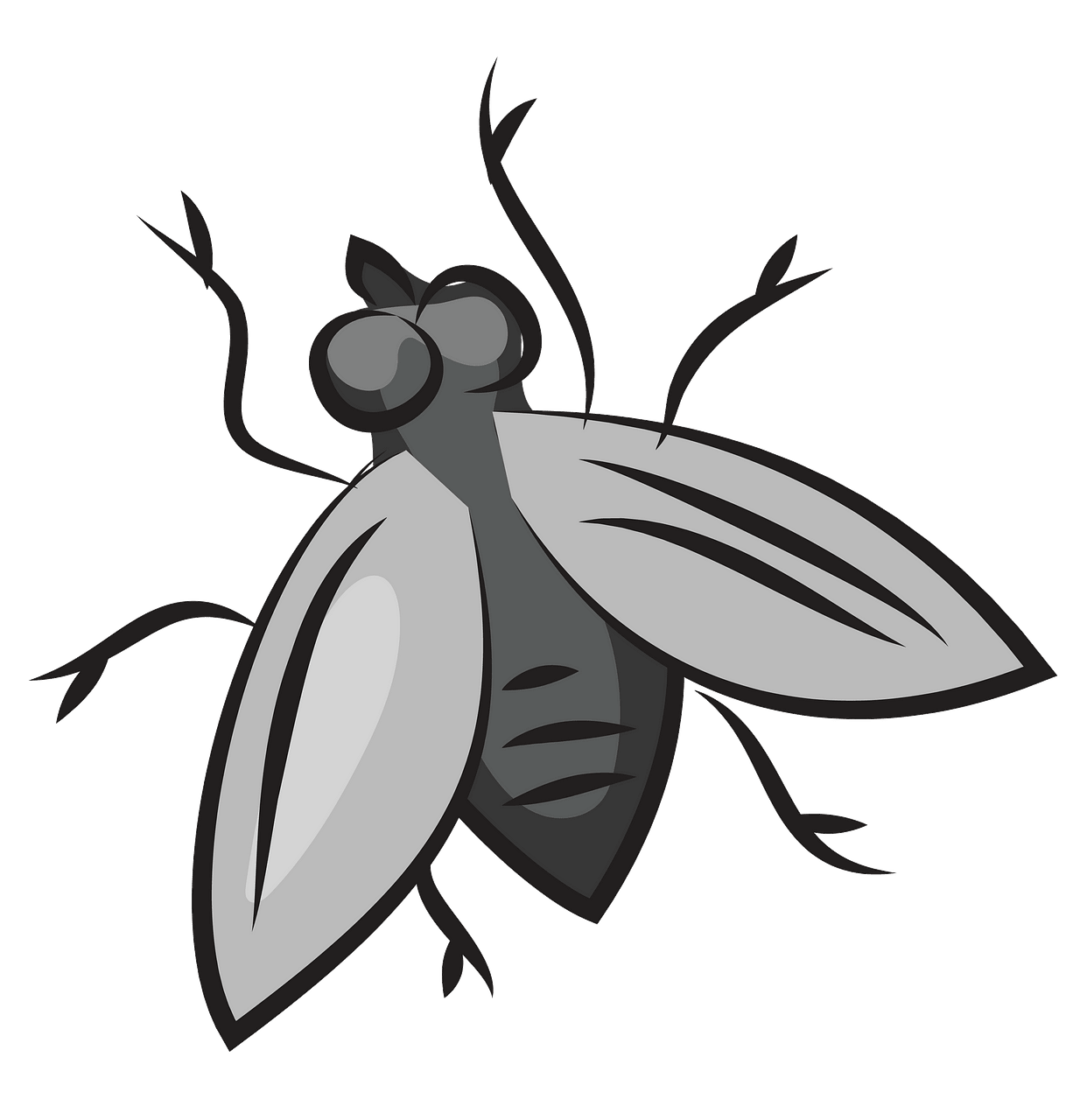 Fly clipart free.