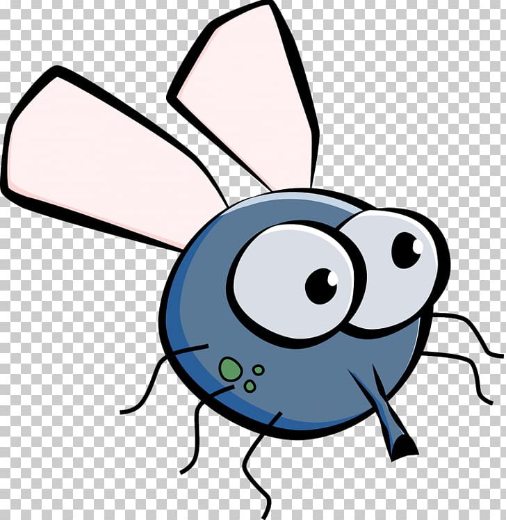 Housefly png clipart.