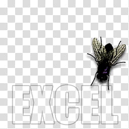 Fly dock icons, EXCEL, black and brown fly illustration