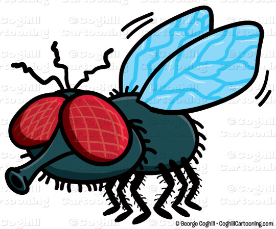 Free Fly Cartoon, Download Free Clip Art, Free Clip Art on