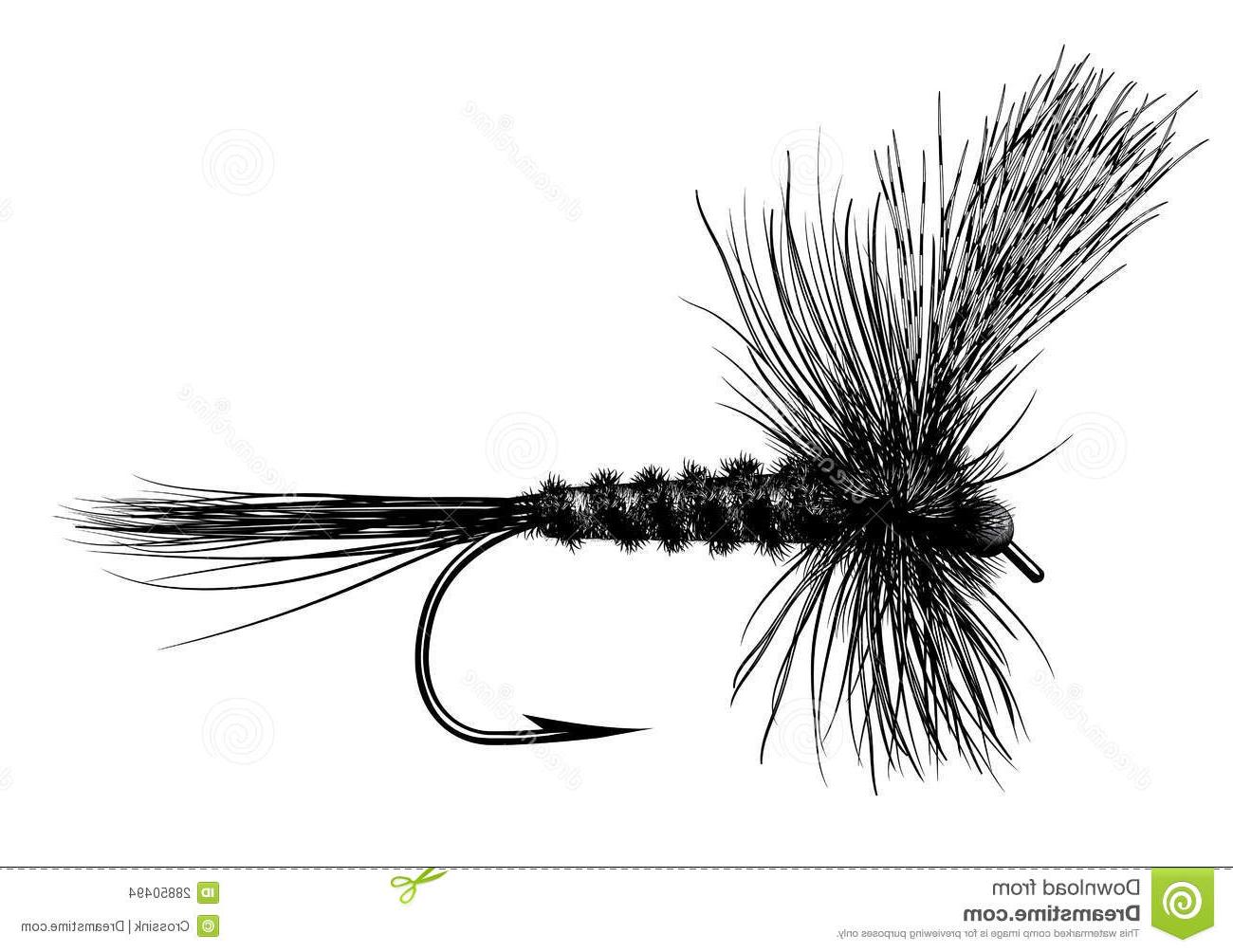 Top Fly Fishing Flies For Trout Clip Art Library