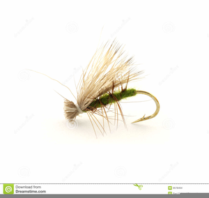 Dry fly clipart.