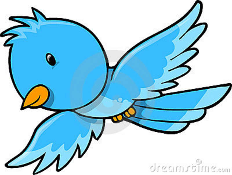Free Birds Flying Picture, Download Free Clip Art, Free Clip