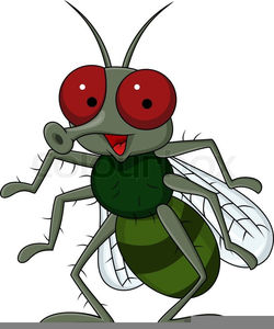 Fruit Fly Clipart