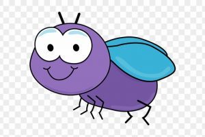 Fruit fly clipart
