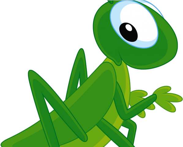 Grasshopper Clipart Different Insect