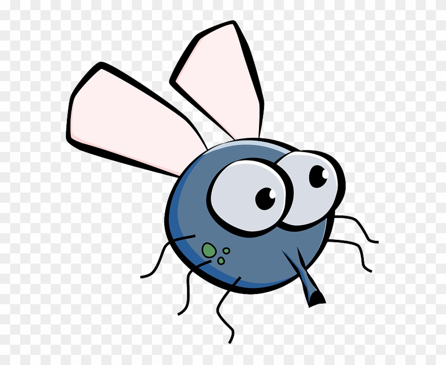 Housefly, House Fly, Fly, Insect, Wings, Eyes, Cartoon