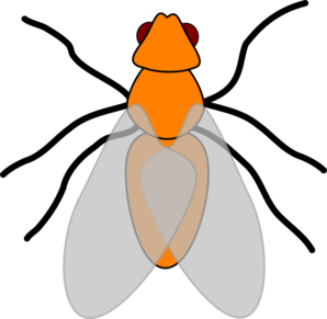 Orange fly clip.