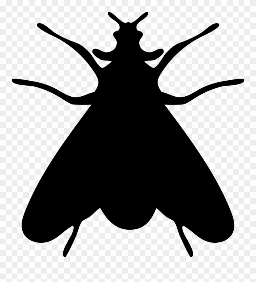 Moth Clipart Svg Graphic Transparent