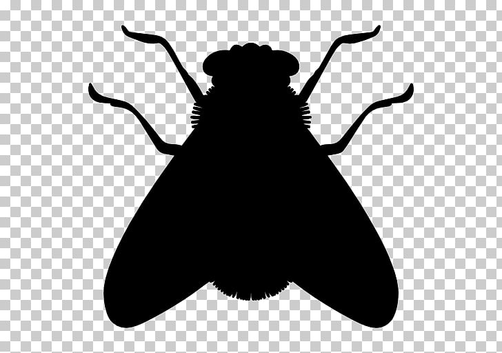 Insect Fly Icon, Silhouette flies, black insect cliaprt PNG