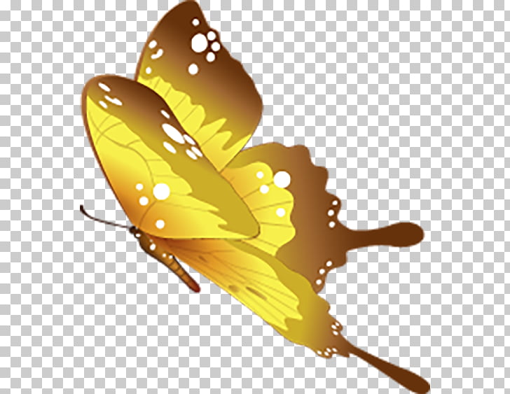 Butterfly Motif, Beautiful butterfly decoration fly PNG
