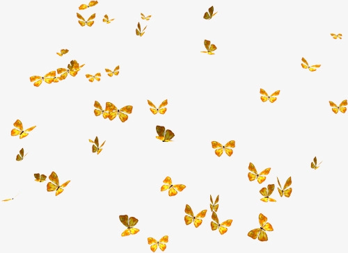 Download Free png A Group Of Flying Yellow Butterfly
