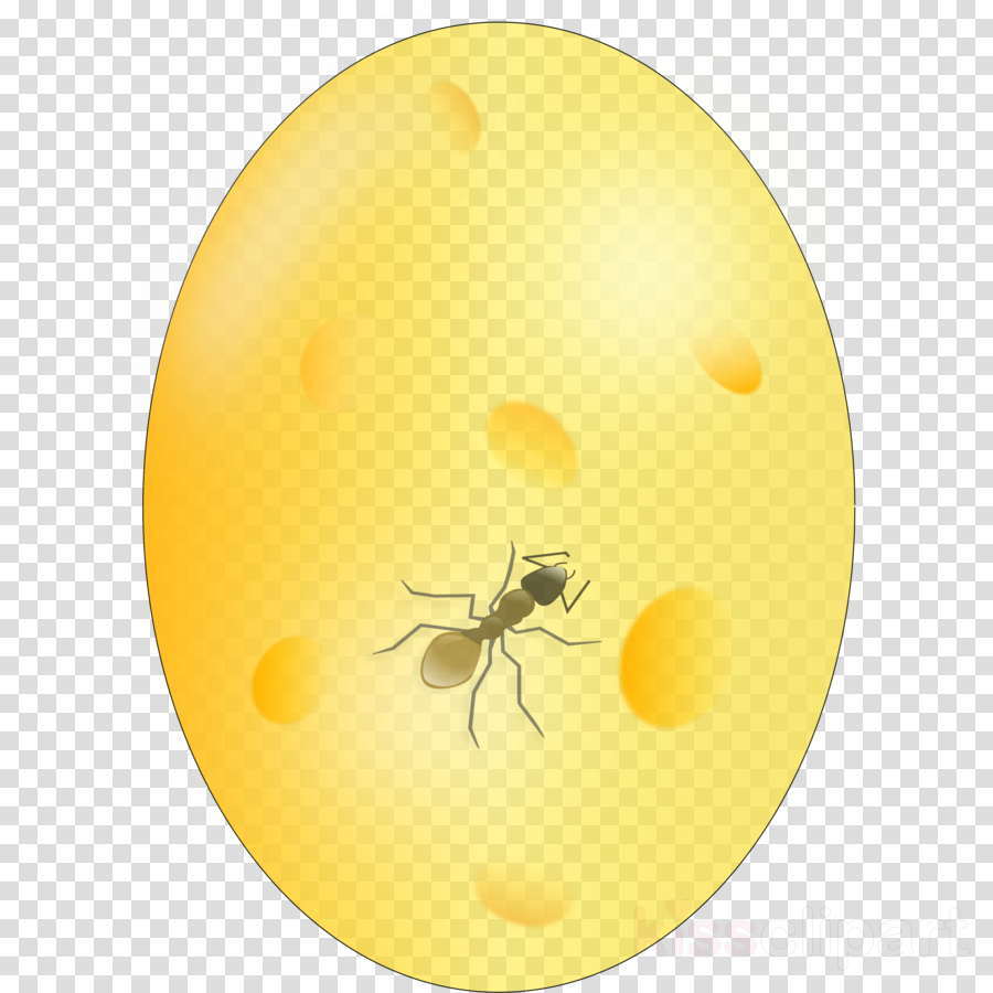 Yellow insect pest ceiling fly clipart