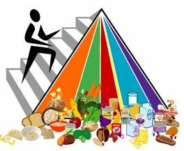 Free Food Pyramid Cliparts, Download Free Clip Art, Free