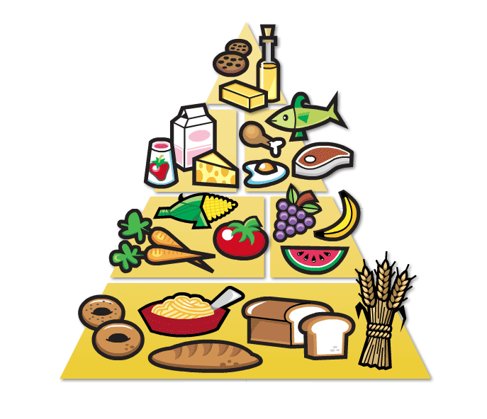Free Images Of Food Groups, Download Free Clip Art, Free