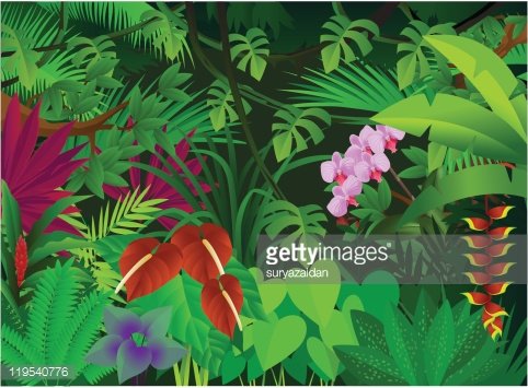 Beautiful Tropical Forest Background premium clipart
