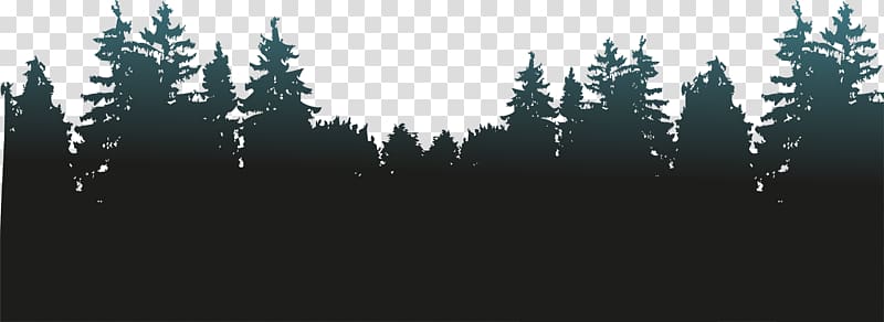 Silhouette trees forest.