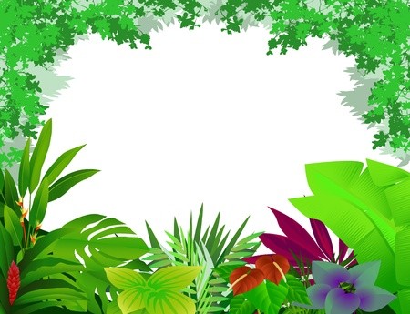 forest background clipart beautiful