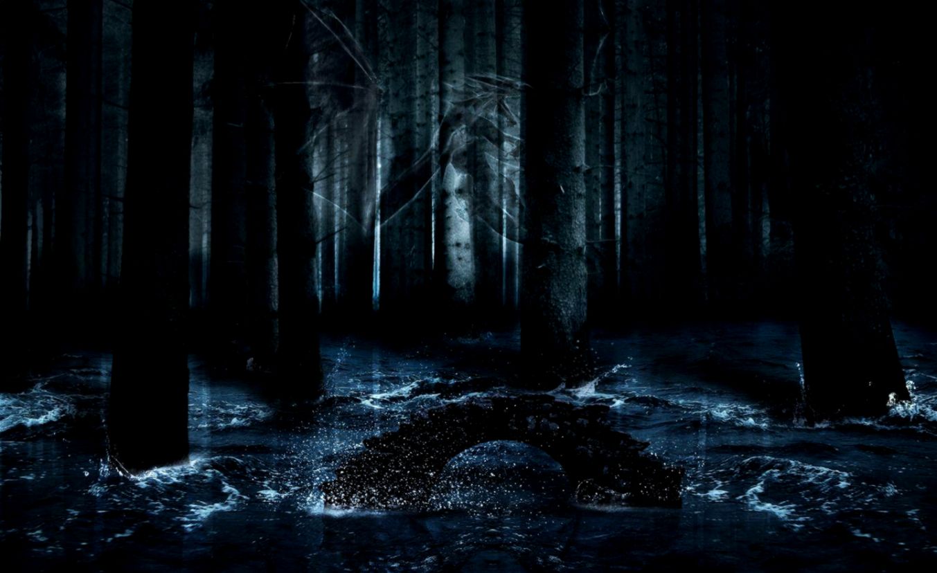 Dark forest background.