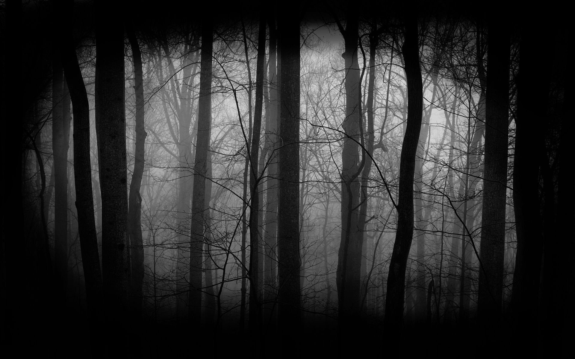 66 creepy forest.