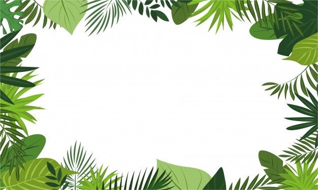 forest background clipart jungle