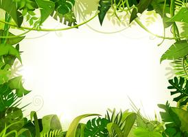 Jungle background vector.