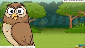 A shocked night owl and A Lush Green Forest Background