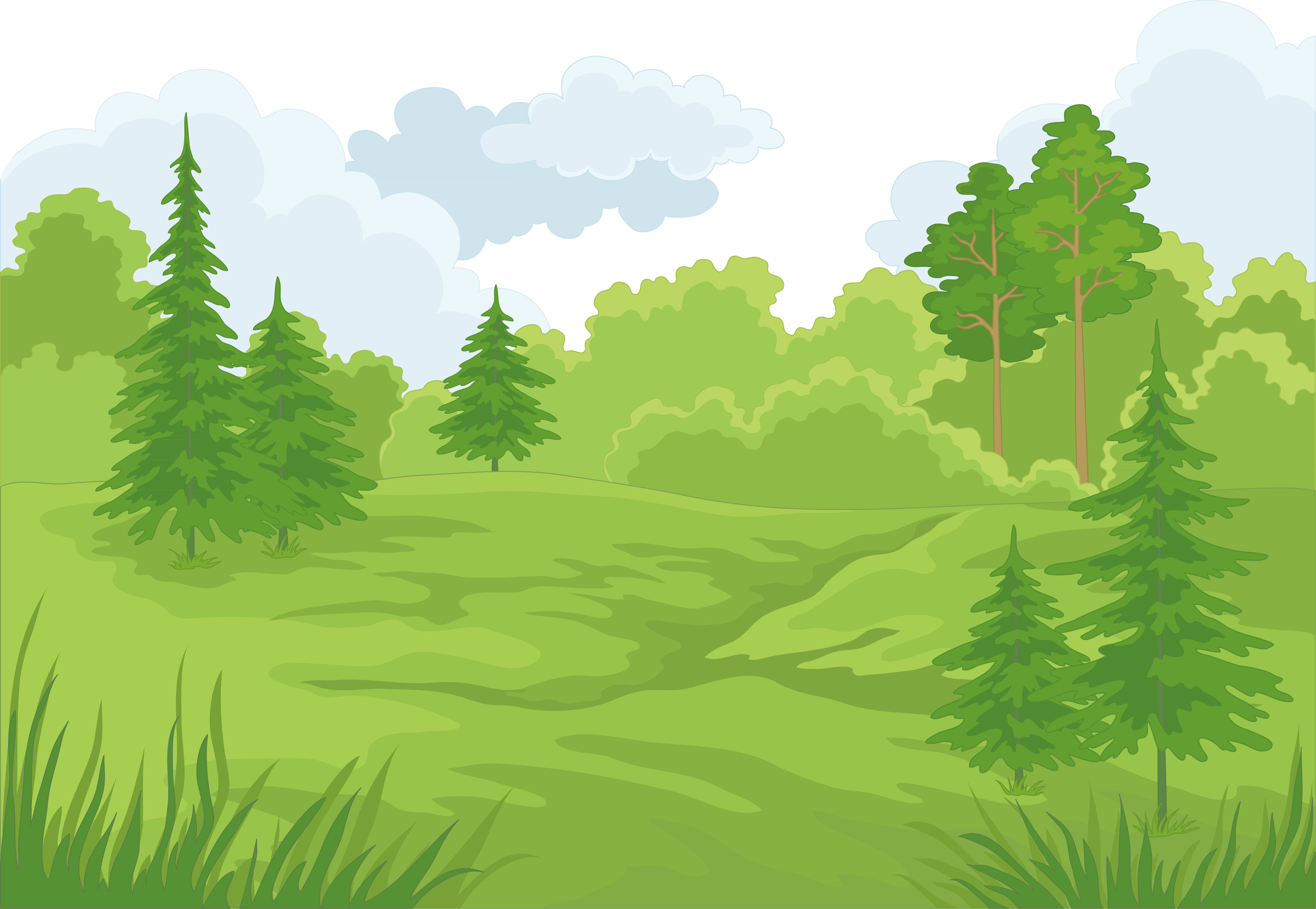Forest Background Clipart Transparent and other clipart images on