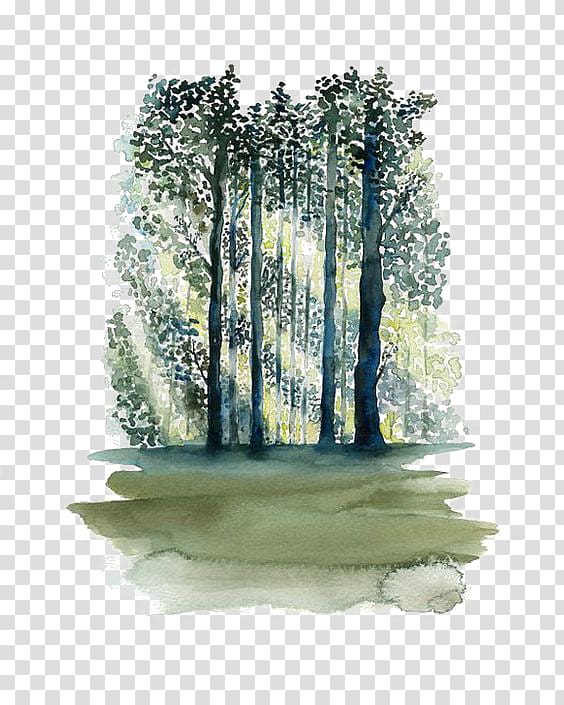 Green forest tree , Watercolor painting Paper Tree Forest