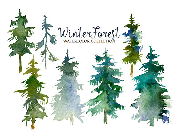 Pine Trees Watercolor Clipart Fir Trees PNG Christmas Winter