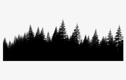 Free Forest Backgrounds Clip Art with No Background