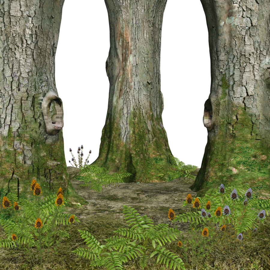 Forest Background clipart