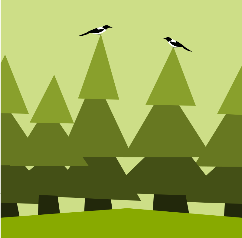 forest background clipart woods