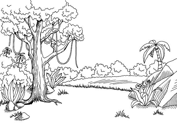 Forest clipart black and white