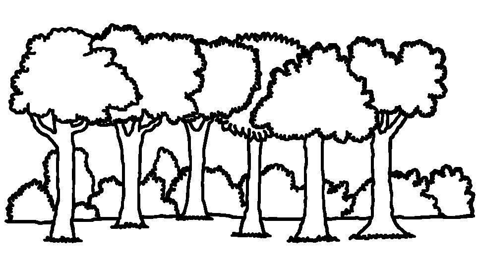 Forest outline clipart.