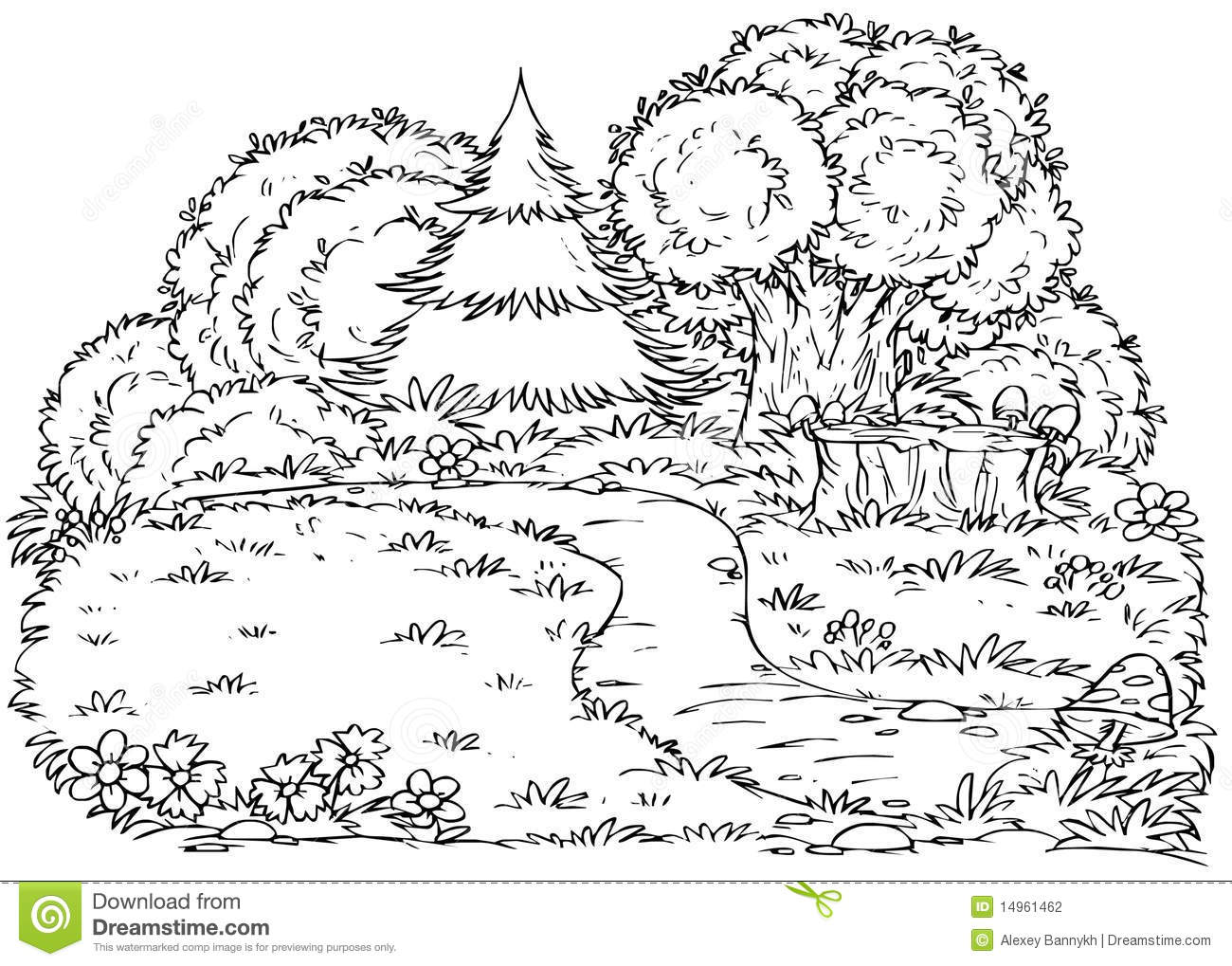 Deciduous Forest Coloring Sheets