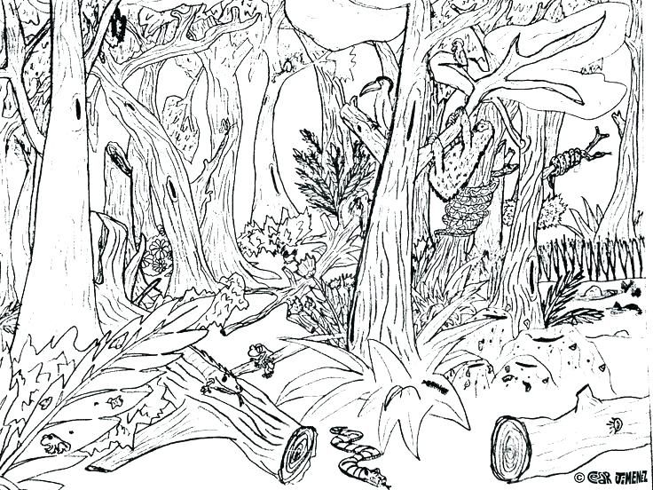 Animal habitat coloring pages animal habitat coloring pages