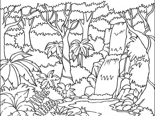 Free Rainforest Clipart, Download Free Clip Art on Owips